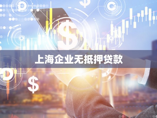 上海企业无抵押贷款