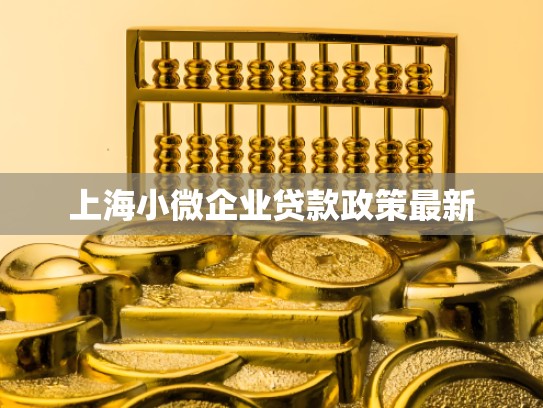 上海小微企业贷款政策最新