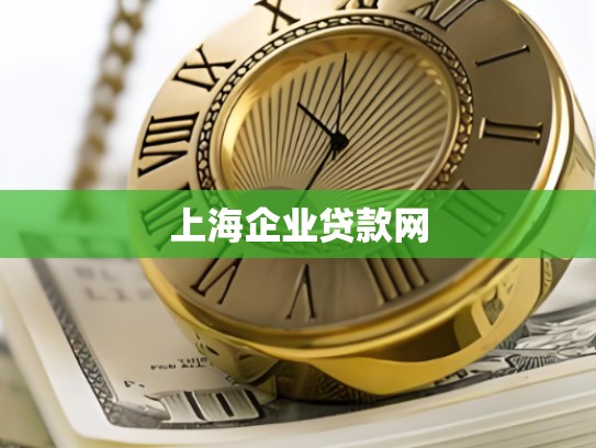 上海企业贷款网