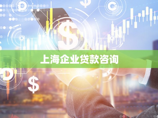 上海企业贷款咨询