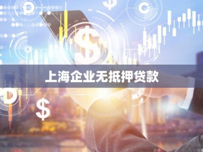 上海企业无抵押贷款