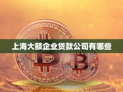 上海大额企业贷款公司有哪些