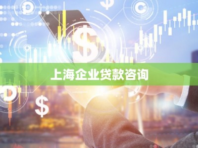 上海企业贷款咨询